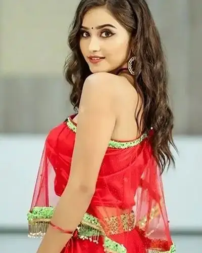 Call Girls Service Sanganer